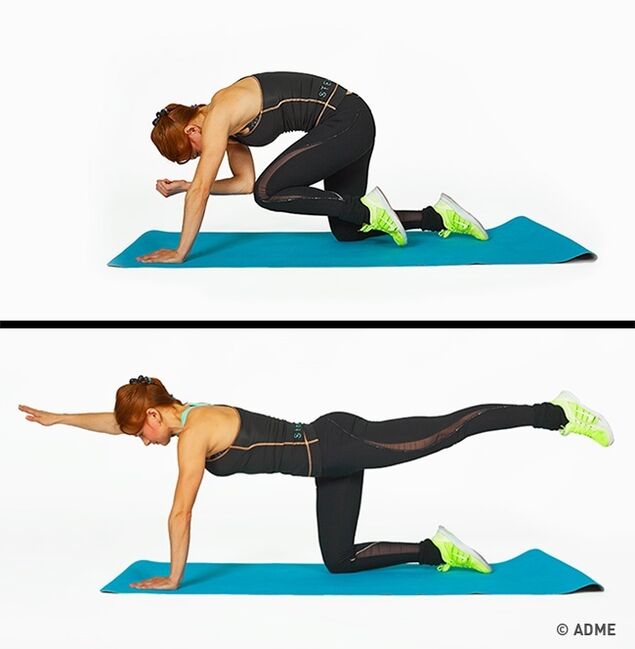 exercises